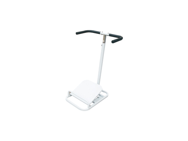Ankle Correction Training Device