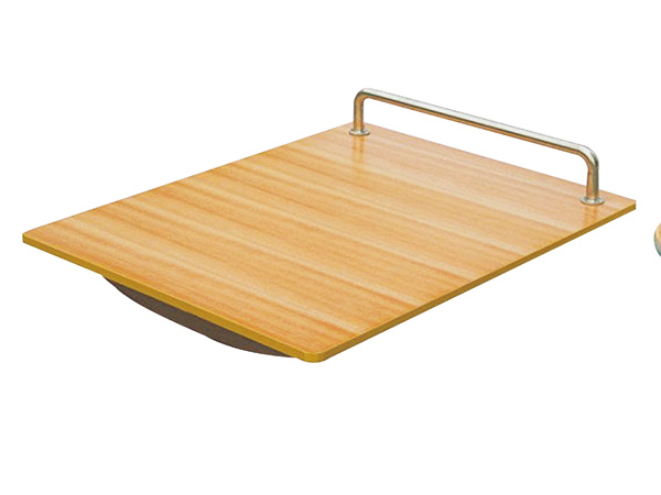 Balance Board (With Handrails)