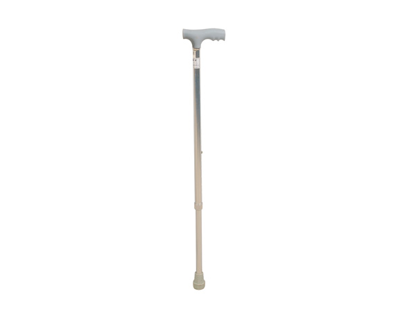 Cane