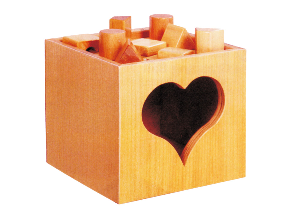 Cognitive Toys (Sticky Wood)