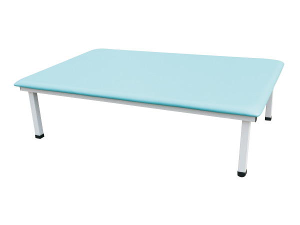 PT Training Bed