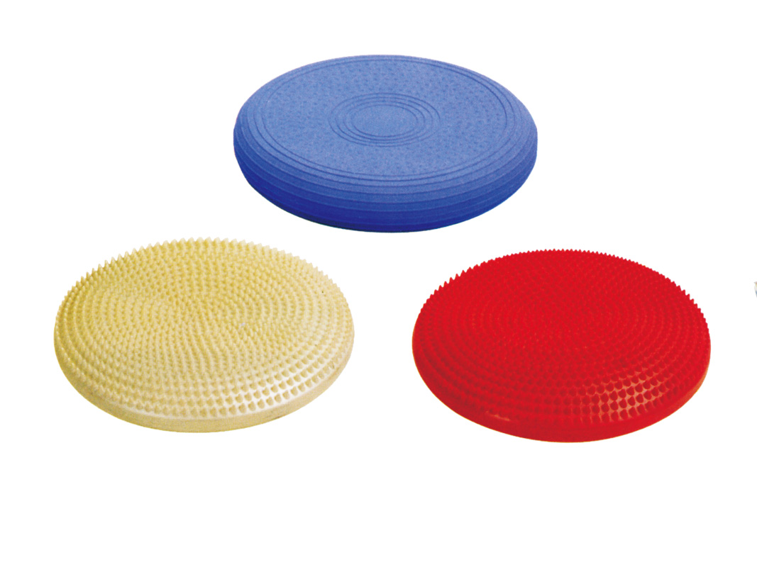Spine Cushion