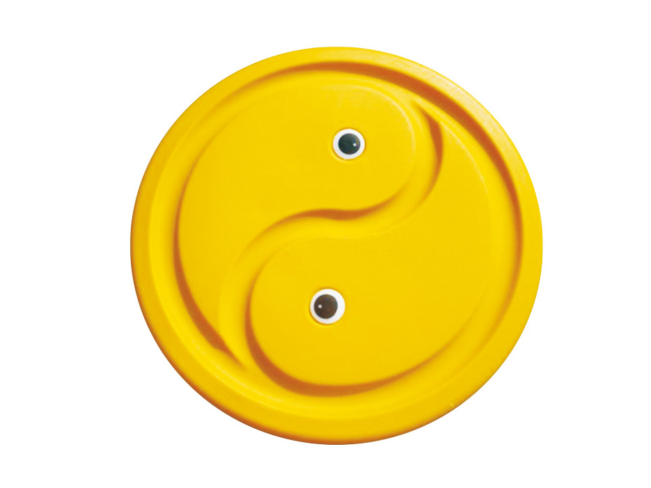 Tai Chi Balance Board